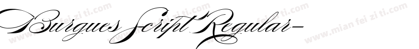 Burgues Script Regular字体转换